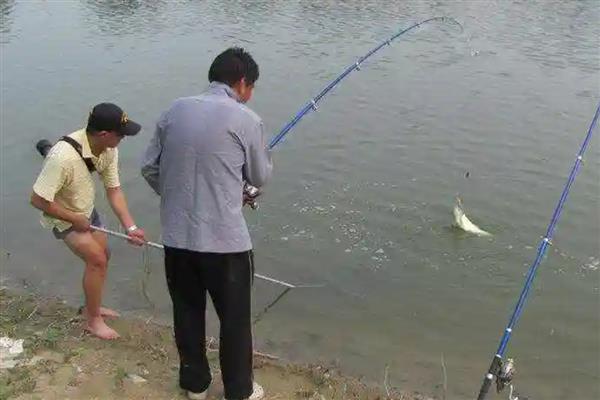 海竿怎么搭配鱼线，根据垂钓环境做选择