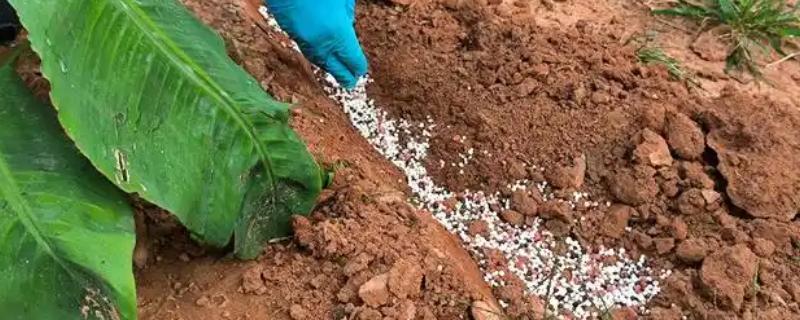 冲施肥的用法，将肥料兑水稀释后再倒入沟中或穴内