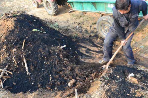 萝卜施什么肥料，可以施用农家肥和磷酸钾肥