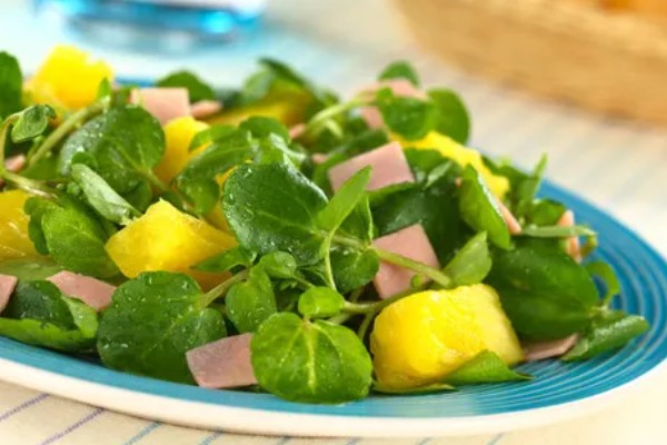 豆瓣菜是什么菜,是多年生水生草本植物