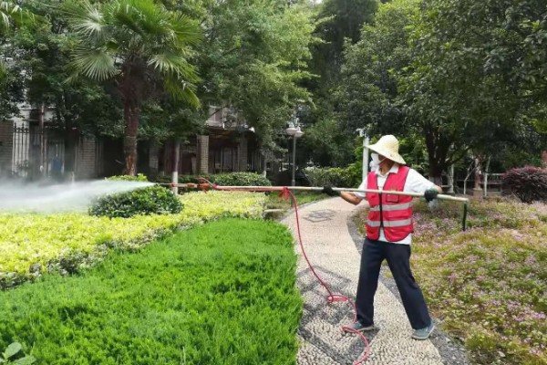 夏天怎么管理苗木，每次降雨或灌溉后都要松土除草