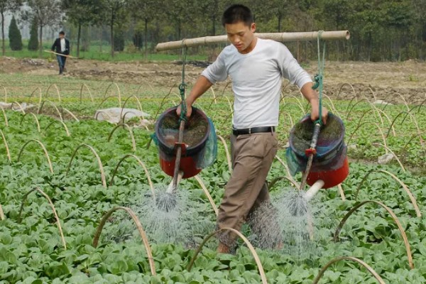 冲施肥的用法，将肥料兑水稀释后再倒入沟中或穴内