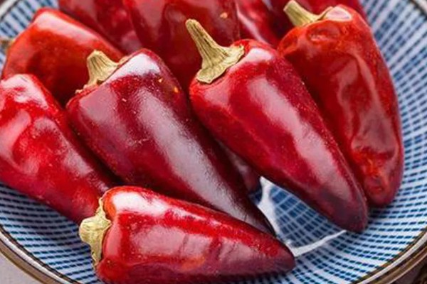 子弹头辣椒怎么吃，可制成泡椒、辣椒粉和香辣菜
