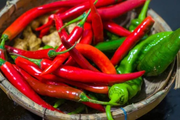 子弹头辣椒怎么吃，可制成泡椒、辣椒粉和香辣菜
