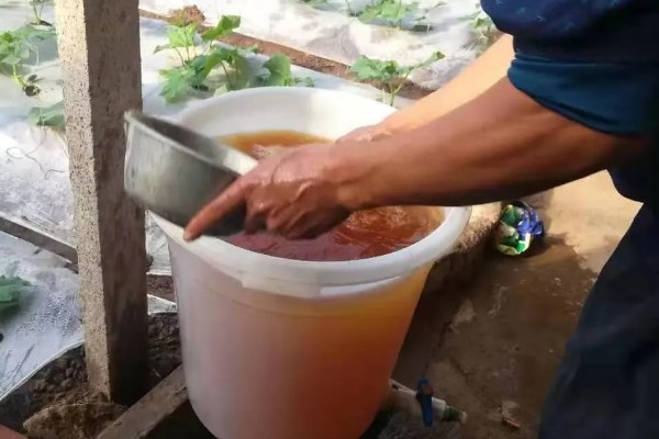 冲施肥的用法，将肥料兑水稀释后再倒入沟中或穴内