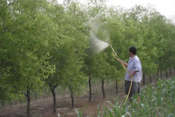怎么用土霉素治疗蔬菜的病虫害,可兑水喷雾根据防治对象决定用量