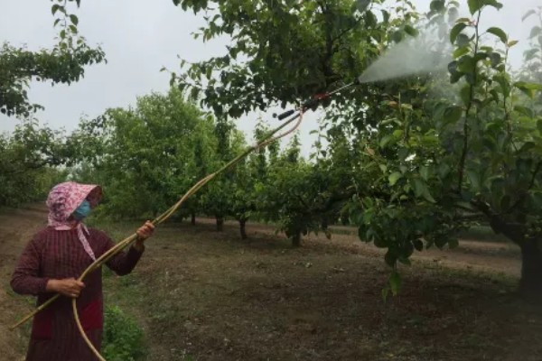 怎么用土霉素治疗蔬菜的病虫害,可兑水喷雾根据防治对象决定用量