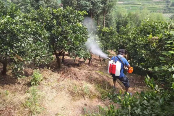 怎么用土霉素治疗蔬菜的病虫害,可兑水喷雾根据防治对象决定用量