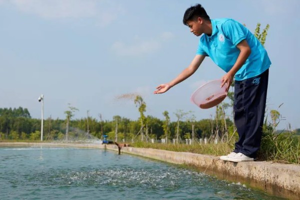 养殖泥鳅要喂什么，可以饲喂米糠、豆饼、豆渣等