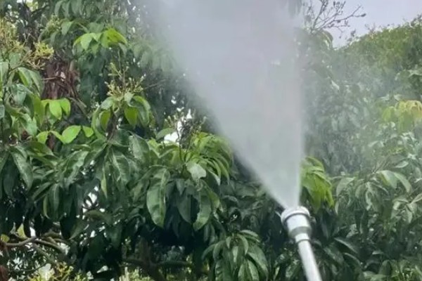 果虫杀的具体防治对象,可有效防治尖细蛾、卷叶蛾等