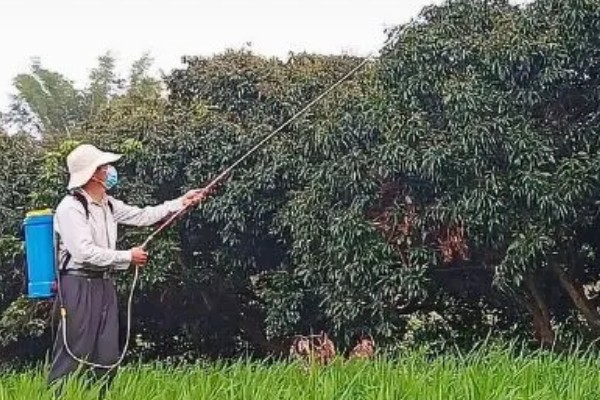 果虫杀的具体防治对象,可有效防治尖细蛾、卷叶蛾等