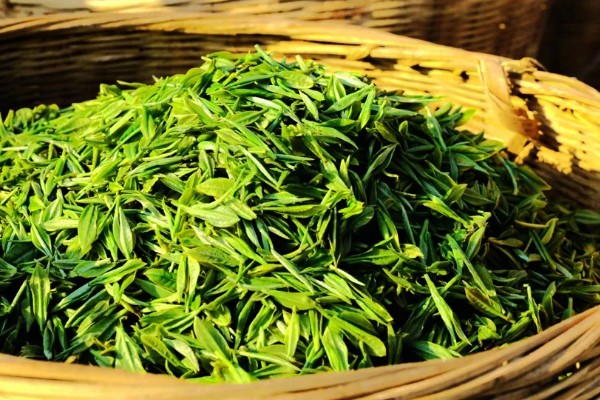 怎么形成生态有机茶叶的品质，不能使用人工合成的化肥