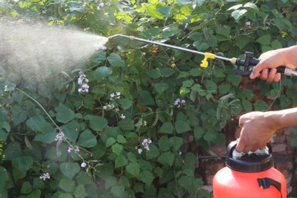 春雷霉素的防治对象，对黄瓜锈病、西瓜枯萎病等病害具有防效