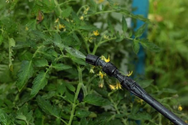 春雷霉素的防治对象，对黄瓜锈病、西瓜枯萎病等病害具有防效