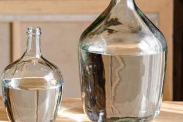 石腊红水培的方法，要选择比较健壮的枝条