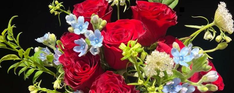 红玫瑰的花语，寓意我爱你、炽热的爱等