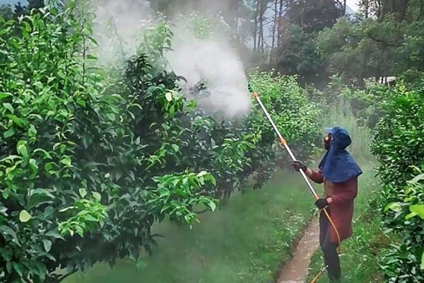 敌磺钠的作用，主要用作种子处理和土壤处理