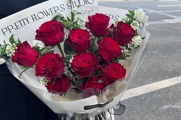 红玫瑰的花语，寓意我爱你、炽热的爱等