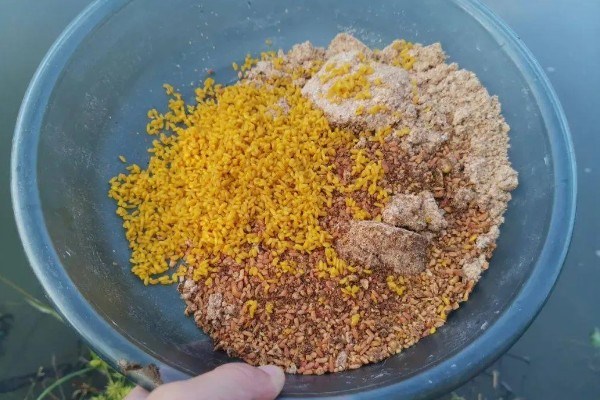 推浪鱼是不是海鱼，学名叫翘嘴红鲌属于淡水鱼