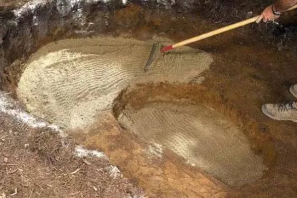 平菇幼菇死亡的原因，可能是温度过高所致