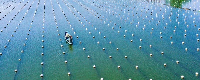 水产养殖需要哪些证，养殖证明、水面养殖证等