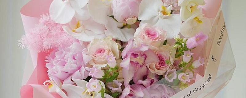 萨拉芍药的花语，寓意甜蜜爱恋、雍容华贵等