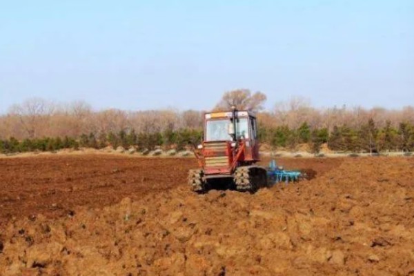 大蒜的种植步骤，第一步是整地