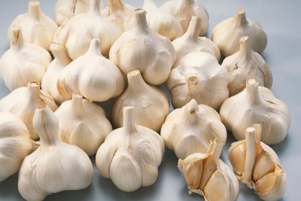 大蒜的种植步骤，第一步是整地