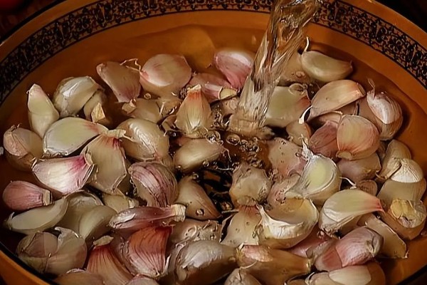 大蒜的种植步骤，第一步是整地