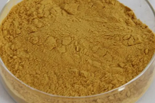 菊花粉的食用方法，用温开水冲服