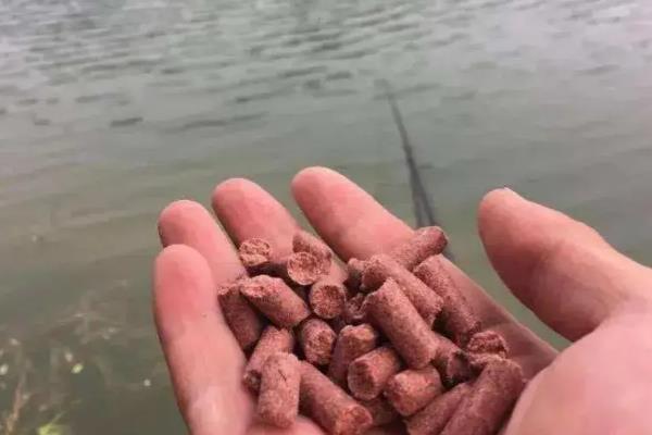 早春野钓鲫鱼用什么渔具，早春2到3号的袖钩效果好