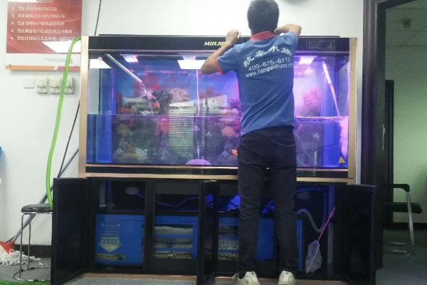 鱼不进食怎么处理，视情况采取针对性措施