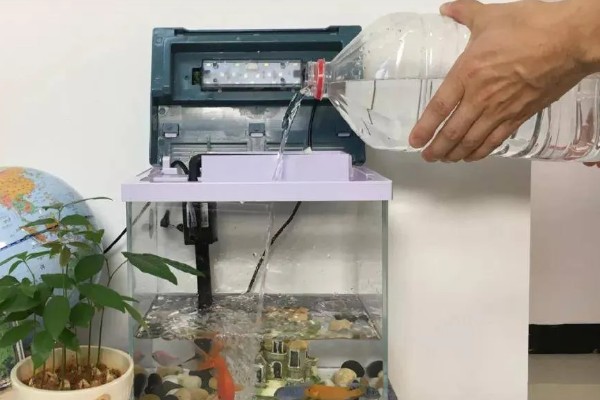 鱼不进食怎么处理，视情况采取针对性措施