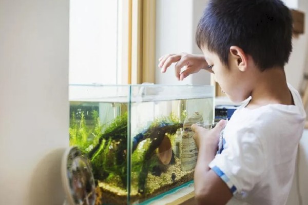 鱼不进食怎么处理，视情况采取针对性措施