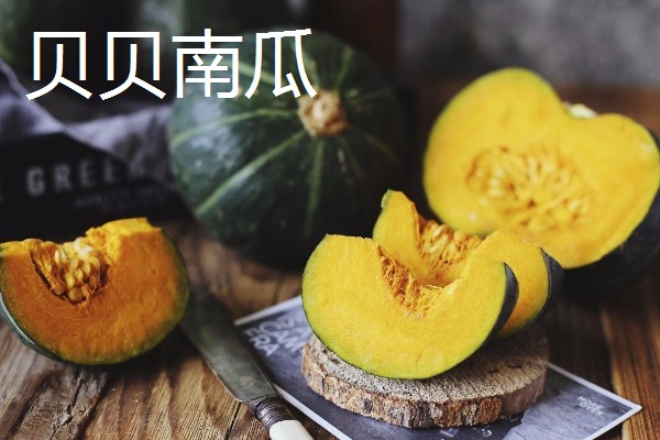 贝贝南瓜苗去哪里购买，原产地、苗木市场、电商平台都有出售