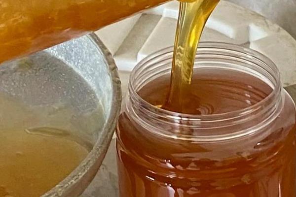 龙眼蜜和荔枝蜜哪个更好喝，二者各有优点