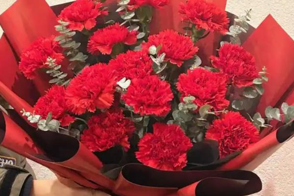 康乃馨是不是多年生植物，属于石竹科多年生草本植物