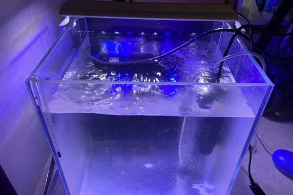 海缸需要uv杀菌灯吗,用不用UV杀菌灯影响不大