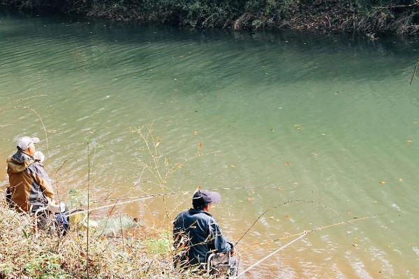 铅坠的作用，可以平衡线组