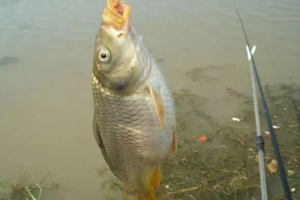 铅坠的作用，可以平衡线组