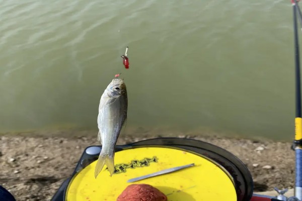 铅坠的作用，可以平衡线组