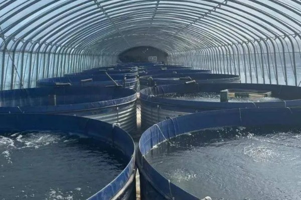 水产养殖需要哪些证，养殖证明、水面养殖证等