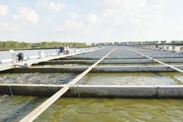 水产养殖需要哪些证，养殖证明、水面养殖证等