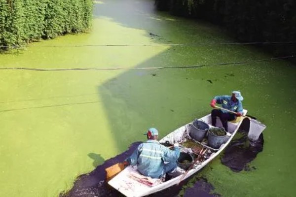 水产养殖需要哪些证，养殖证明、水面养殖证等