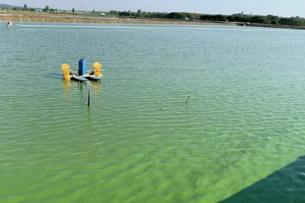 水产养殖需要哪些证，养殖证明、水面养殖证等