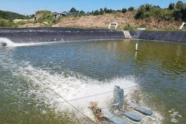 水产养殖需要哪些证，养殖证明、水面养殖证等