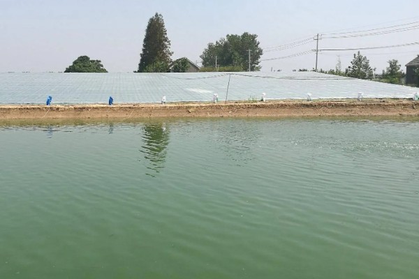 水产养殖需要哪些证，养殖证明、水面养殖证等