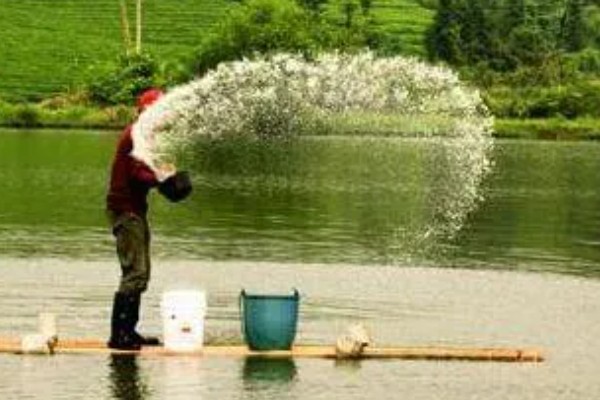 水产养殖需要哪些证，养殖证明、水面养殖证等