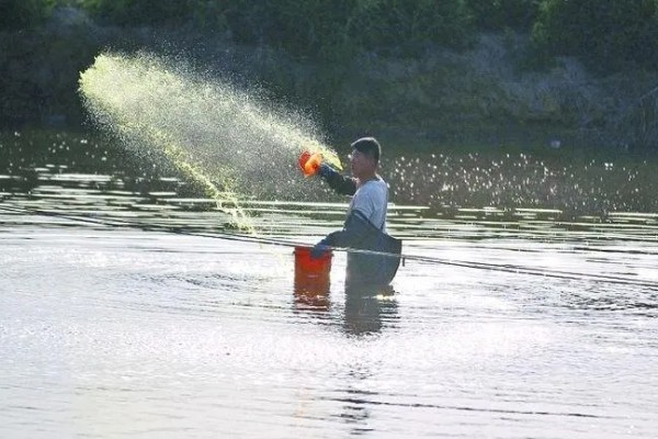 水产养殖需要哪些证，养殖证明、水面养殖证等