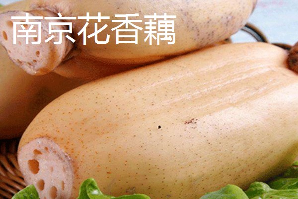 莲藕的品种,有苏州藕、杭州白花藕等